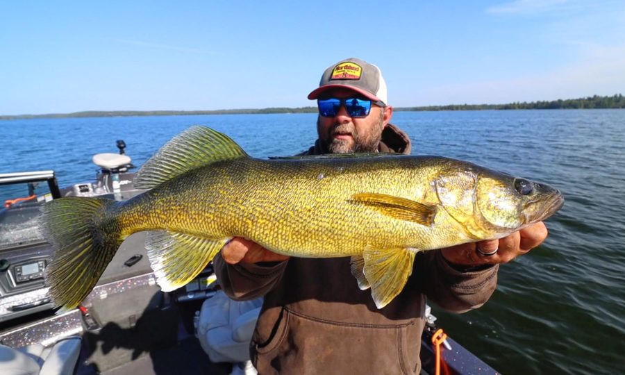 Crankbait Trolling for Walleye