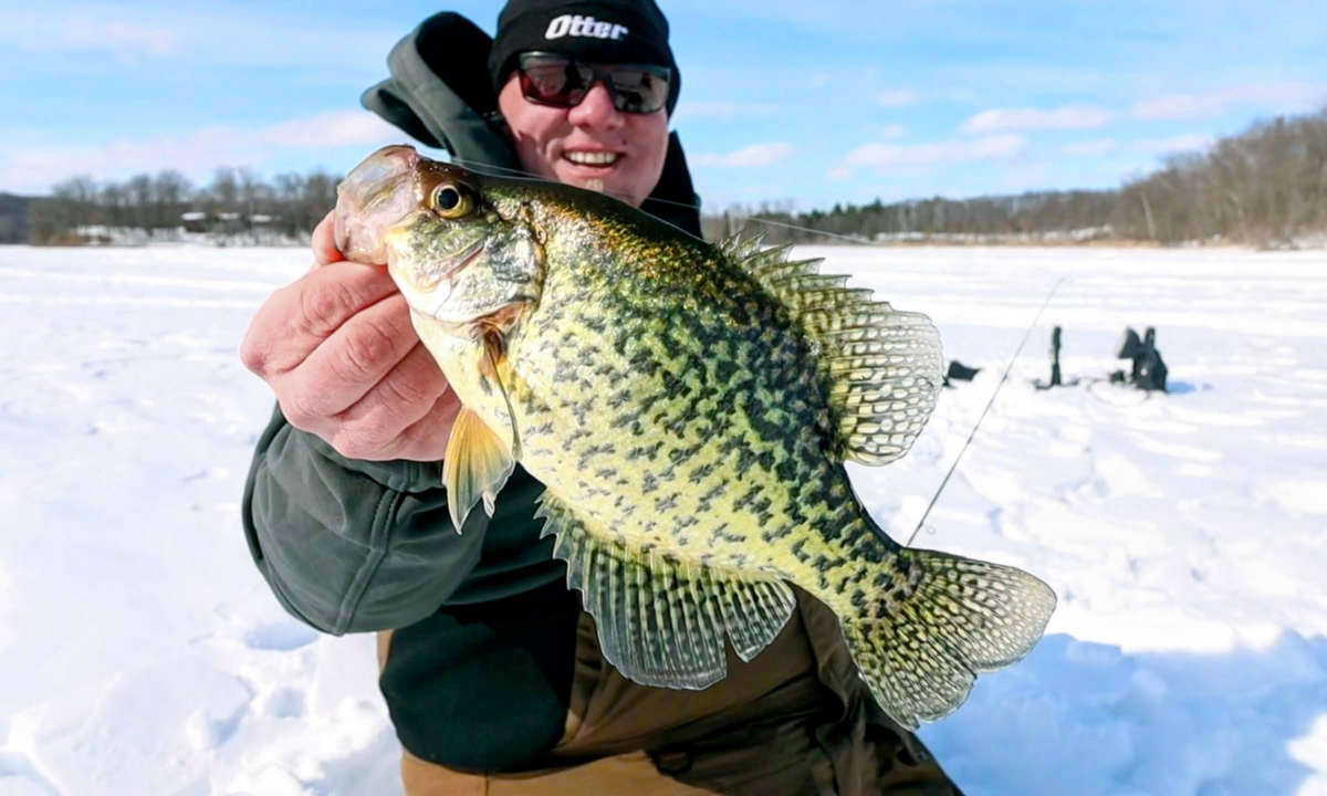 Tungsten Ice Crappie Tips Northland Fishing Tackle