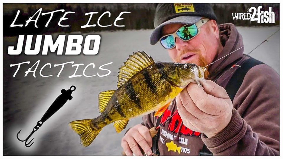 Find & Catch Late Ice Perch