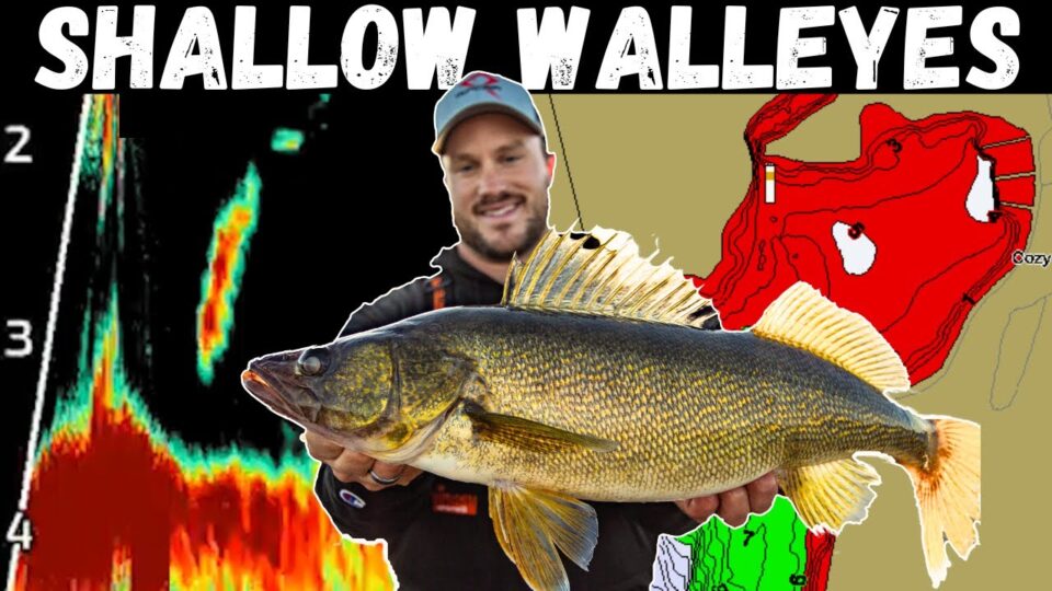 Jigging Shallow Spring Walleyes