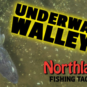 Underwater Walleye Footage