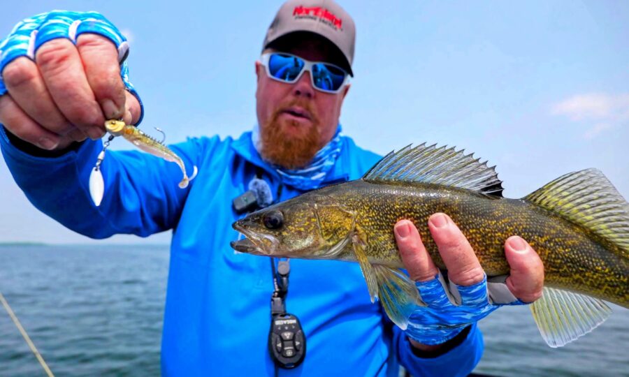 Summer Walleyes On Plastics