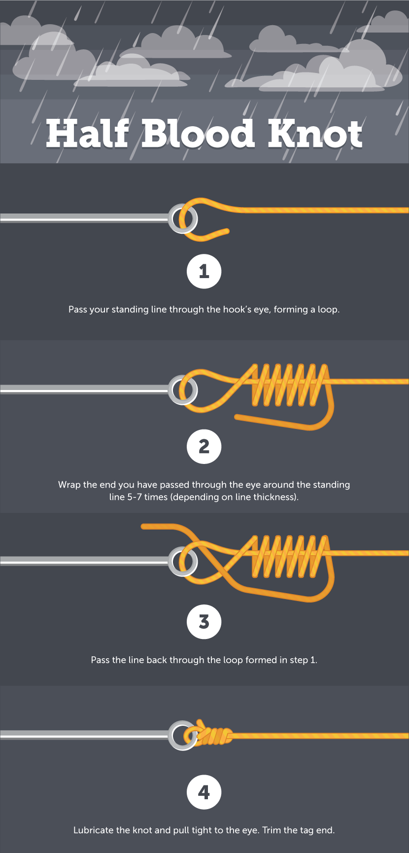 Graphic showing how to tie the Half Blood Knot