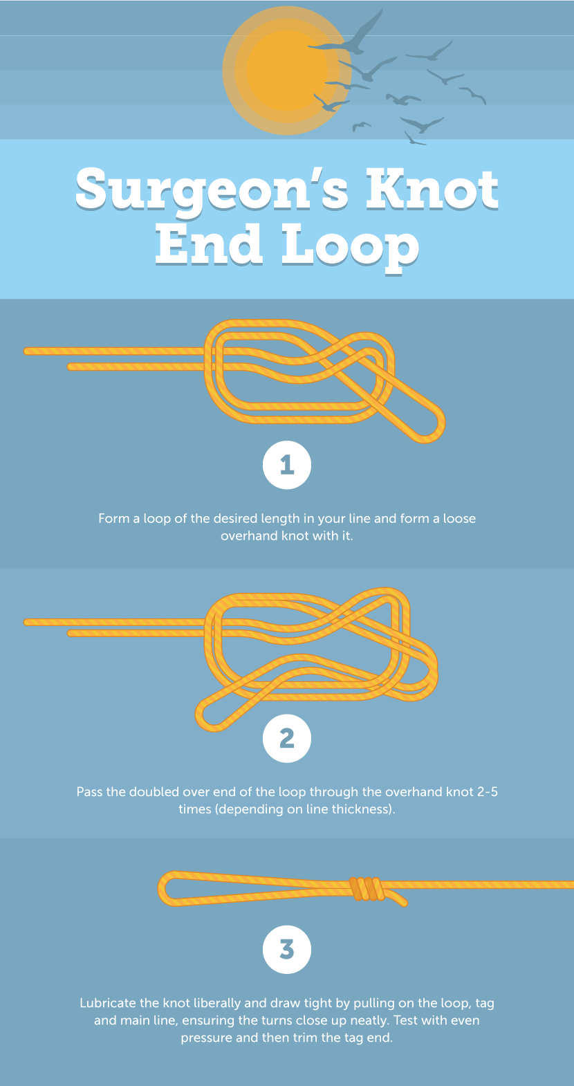 Graphic showing how to the the Surgeon's Knot End Loop
