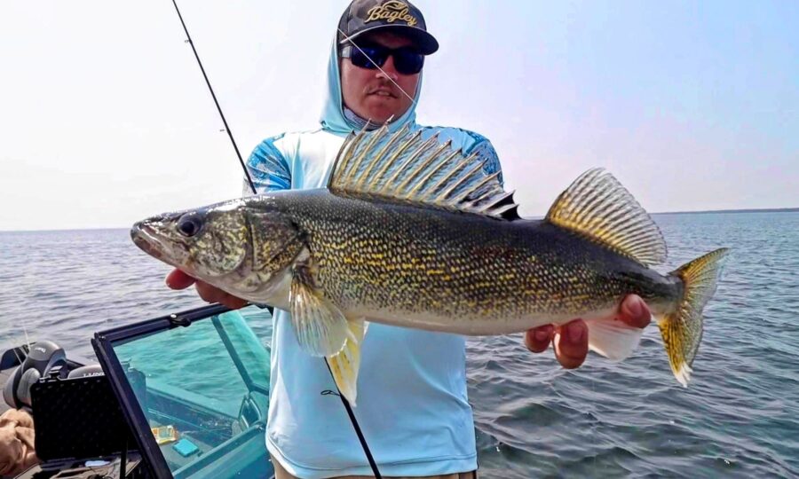 Jig & Plastics Walleye Beatdown