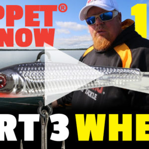 Puppet® Minnow 101 - Where - Part 3