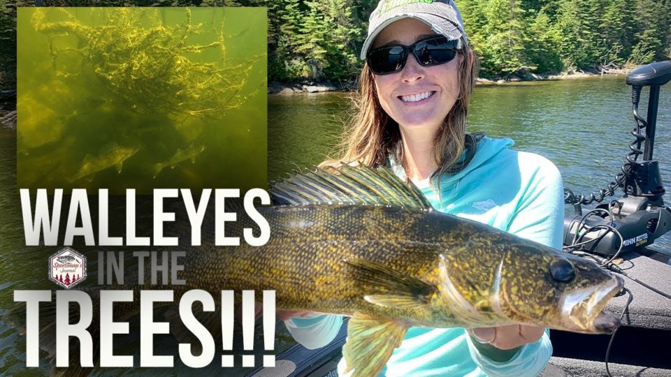 Catching Walleyes In Trees! (insane Underwater Footage)