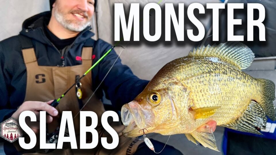 Ice Fishing Monster Crappies