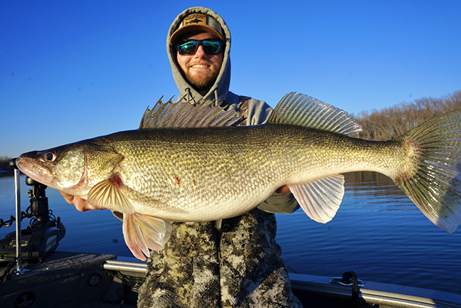 Walleye Eye-Candy Minnow | Northland Fishing Tackle
