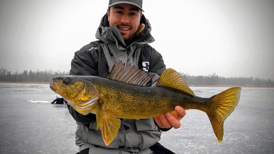 Ice Fishing Shallow Perch & Walleye