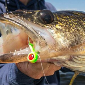 Tailormade Tungsten Walleye Jig