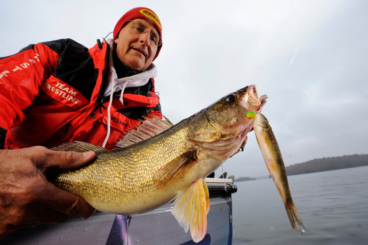 Fisherman holding a walleye caught on a Fire-Ball Jig and minnow.