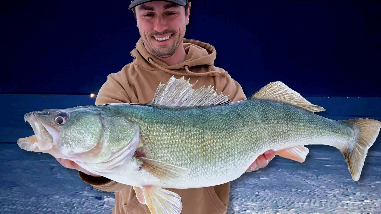 Ice Fishing Big Walleyes