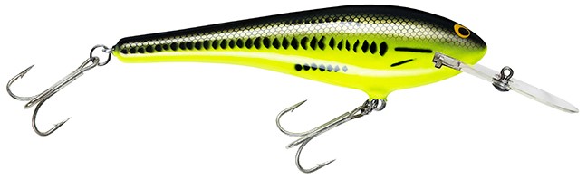 Rumble Beast crankbait in Baby Bass color