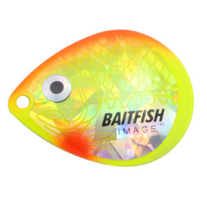 Northland Fishing Tackle Baitfish Image Colorado blades.