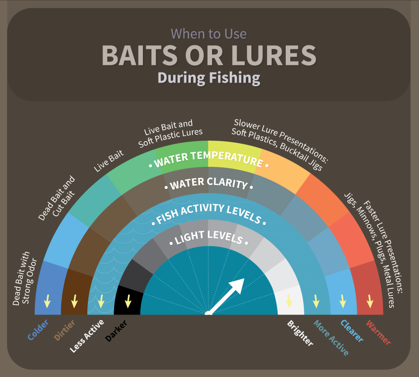 Graphic showing when to use livebait or lures