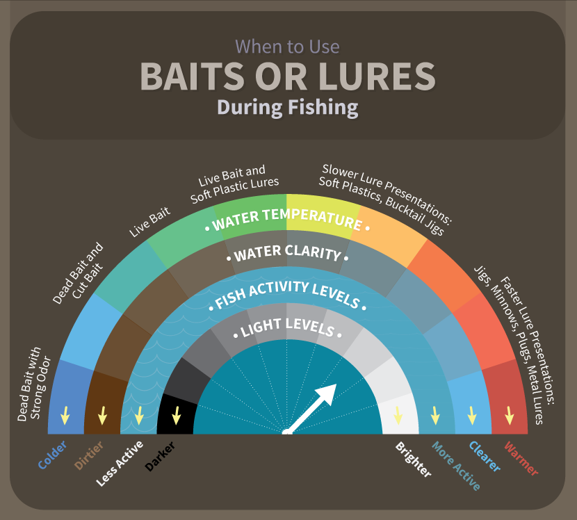 Bait vs Lures - Product Guide