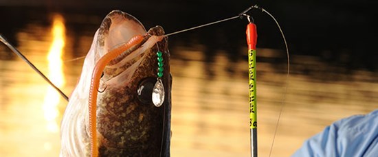 Best Time to Fish - Northland Fishing Tackle Best Time to Fish - Northland Fishing Tackle