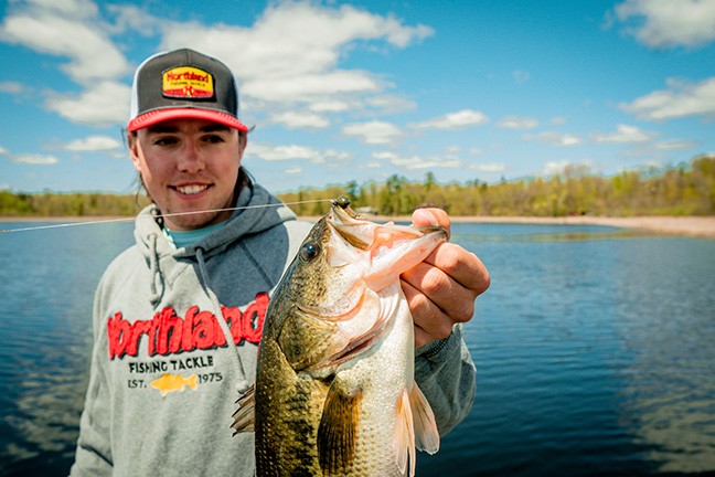 Elite Series Bass Jigs Elite Series Bass Jigs