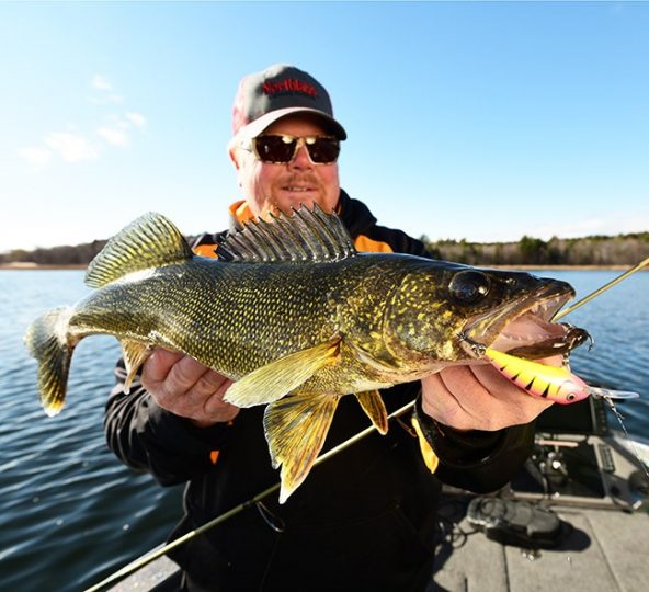 Brian 'Bro' Brosdahl holds up a walleye he caught on the Rumble Shad crankbait