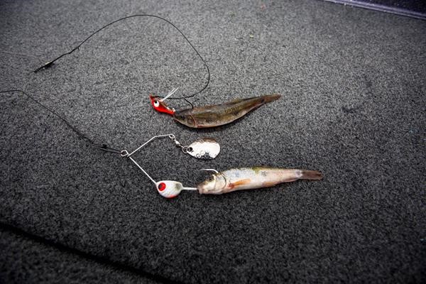 Two different Northland Fishing Tackle jigs with minnows.