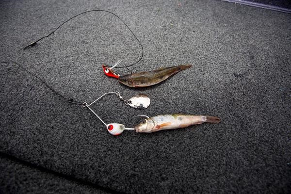Two different Northland Fishing Tackle jigs with minnows.