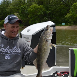 Mike Frisch