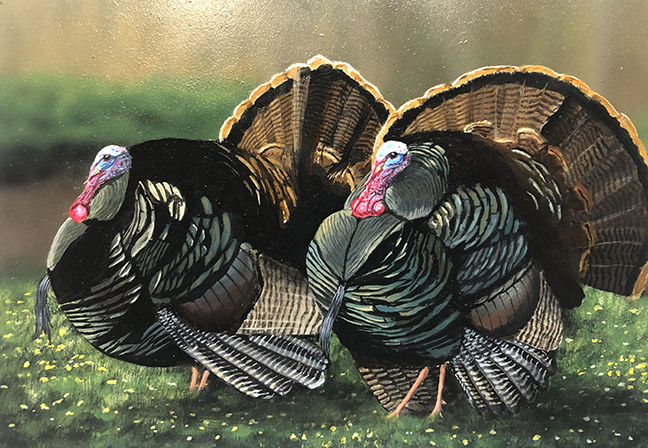 Turkey Stamp Entry Turkey Stamp Entry