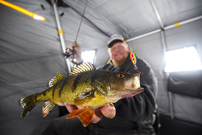 Bro in a pop-up ice house with a perch he caught on a spoon