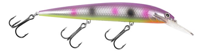 Rumble B crankbait in Purple Pearl color