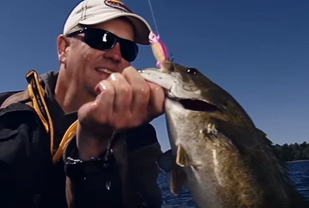 Smallmouth bass caught on a UV Mimic Minnow