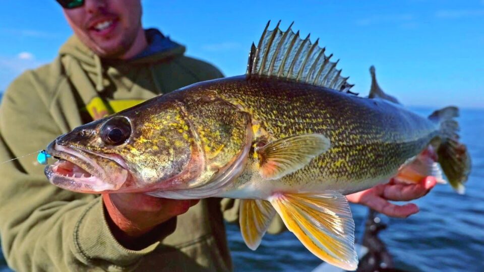 The Best Walleye Blueprint