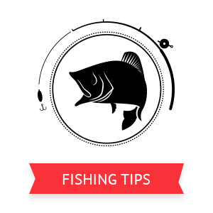 Fishing Tips