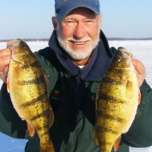Fishing Hall of Fame Legend Gary Roach Shows off jumbo perch he caught jigging spoons