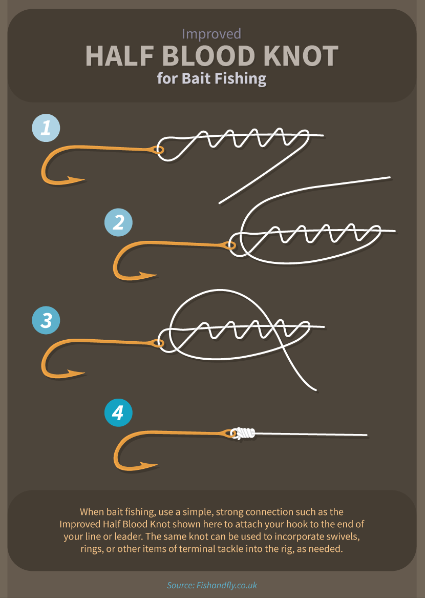 Graphic showing how to tie the half blood knot