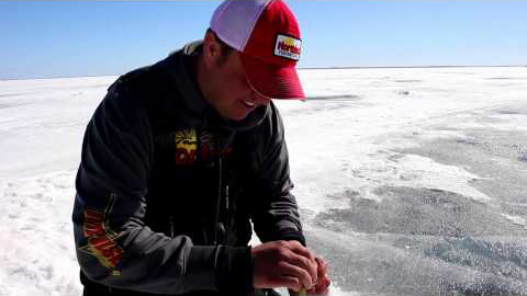 Buck-Shot Flutter Spoon Perch with Tony Roach