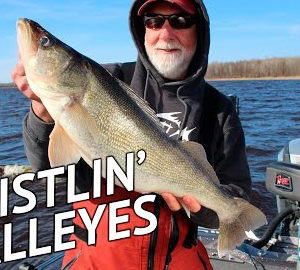 Huge Walleyes on Rainy River - Whistler Jigs