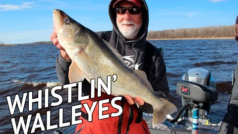 Huge Walleyes on Rainy River - Whistler Jigs