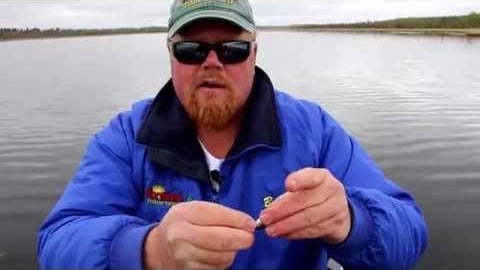 How to Double Hook a Shiner Minnow