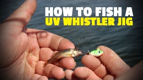 How to fish a UV Whistler® Jig for Walleyes