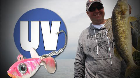 UV Whistler Jigs® for Walleyes - Tony Roach