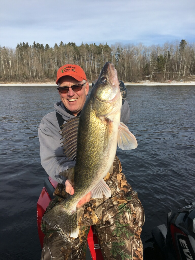 Angler holding up a big walleye caught while walleye fishing with a jig.