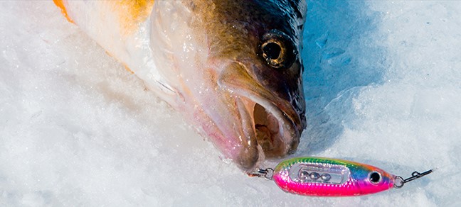 Glass Buck-Shot Spoon Jumbo Perch