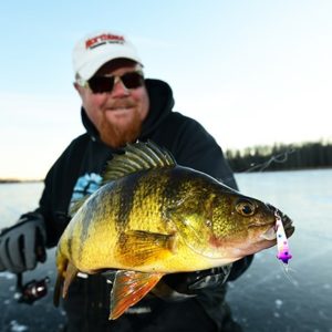 Top 4 Minnesota Perch Lakes