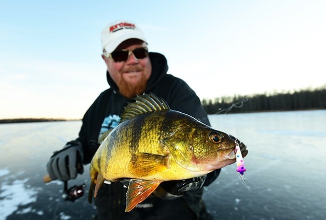 Top 4 Minnesota Perch Lakes