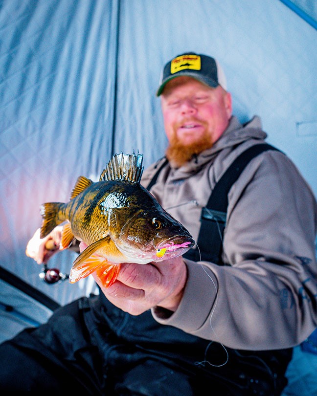 Top 4 Minnesota Perch Lakes Mayfly Perch