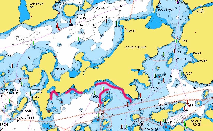 Shoreline sections on the south side of Coney Island have been marked on this Lake of the Woods lake map.