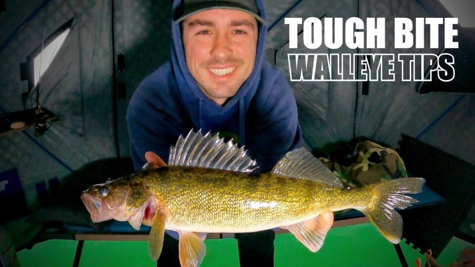 Catch Tough Bite Walleyes