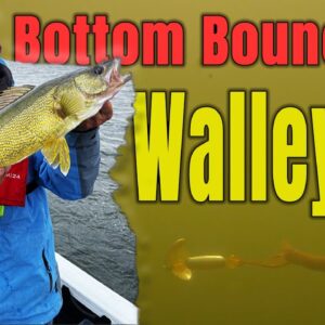 Bottom Bouncer Cold Front Walleye