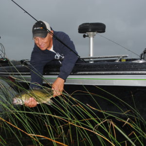 Largemouth bass